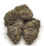 Blue Cheese Marijuana UK