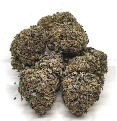 Blue Cheese Marijuana UK 1 Blue Cheese Marijuana UK