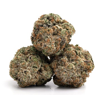 Bubblegum Gelato Strain UK 1 Bubblegum Gelato Strain