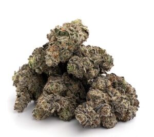 White Truffle Marijuana UK
