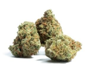 Black Cherry Gelato Strain