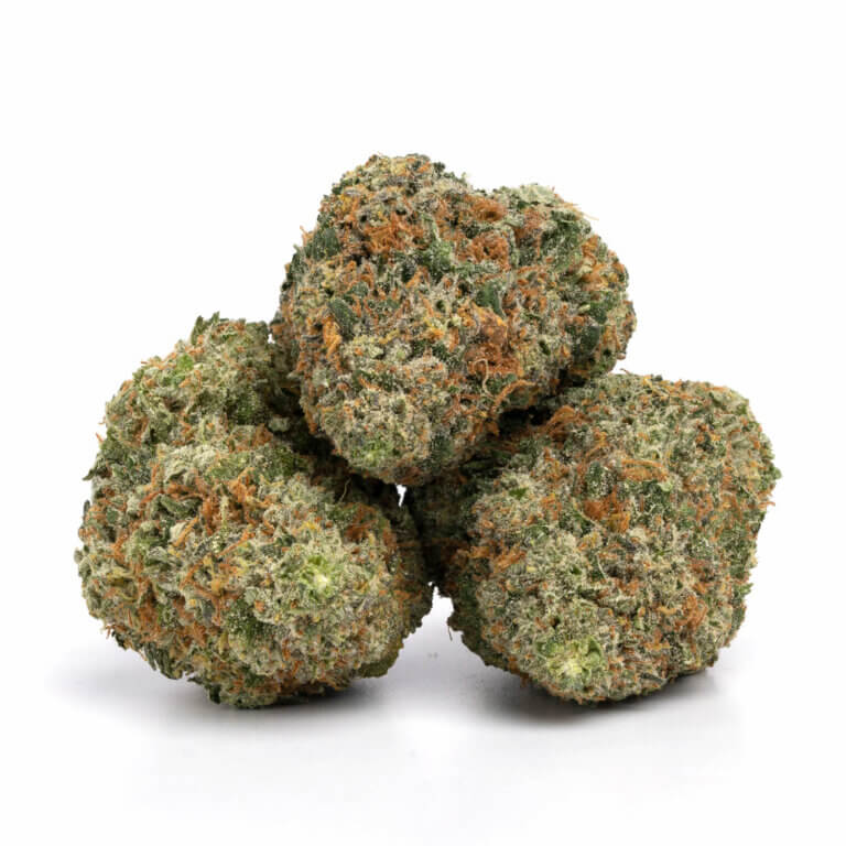Citrus Haze Marijuana UK 1 Citrus Haze Marijuana UK