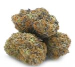 French Toast Weed UK