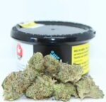 Gelato Mintz Cannabis UK