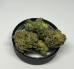 Glue Gelato Marijuana UK