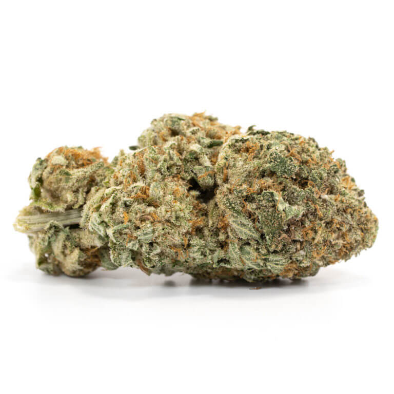 Jack Diesel Cannabis UK 1 Jack Diesel Cannabis UK