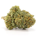 Jamaican Marijuana Strain UK
