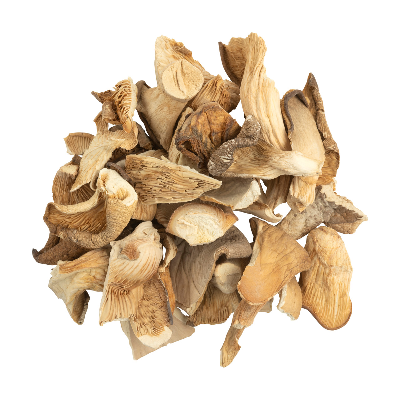 OYSTER DRIED MUSHROOM UK 1 OYSTER DRIED MUSHROOM UK