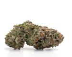 Master Kush Weed UK