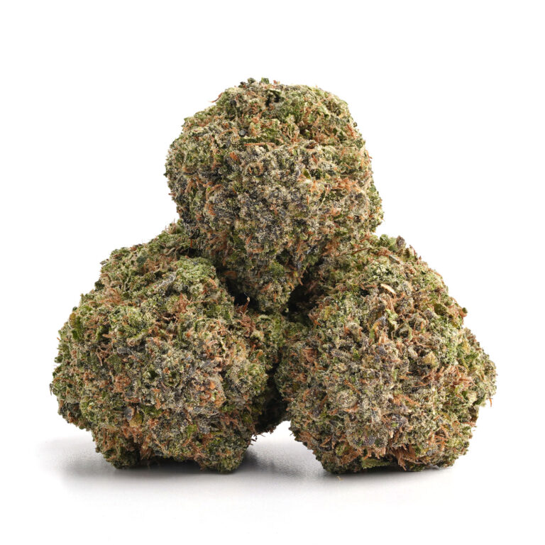 Pink Alien Cannabis UK 1 Pink Alien Cannabis UK