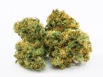 Snow Cone Marijuana UK