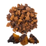 CHAGA DRIED MUSHROOM ONLINE UK