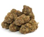 Blueberry Cookies Weed UK