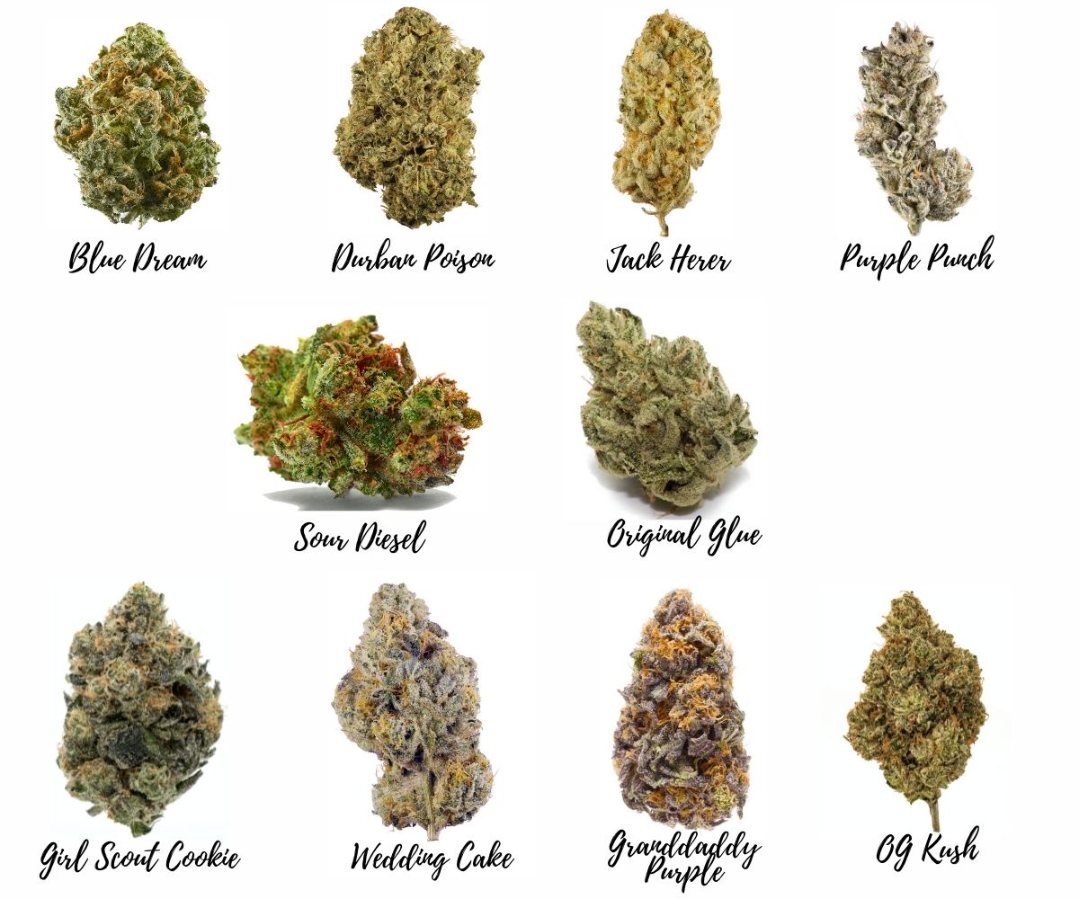 Exotic weed strains uk